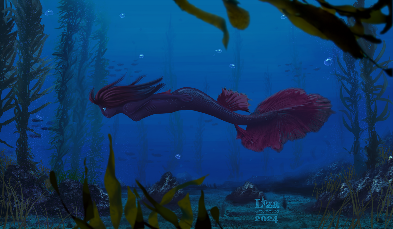 Mermay 2024